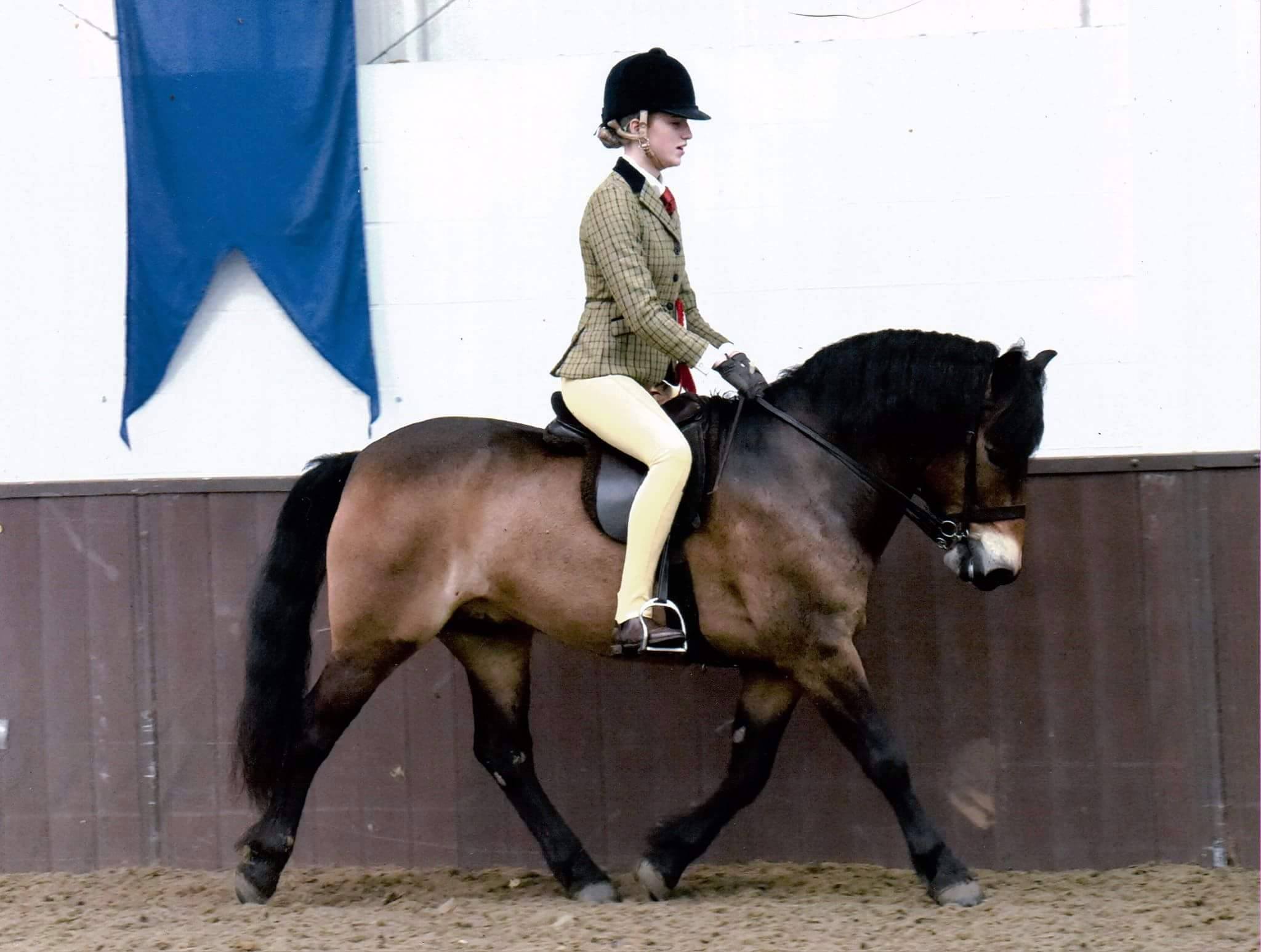 Poppy Fisher riding Mary Rose Bryant Exmoorn - Moonpenny Aquarius