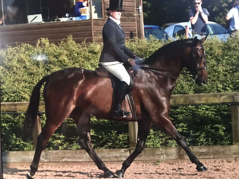 Debbie Boylan-White and Ballykelly Emperor