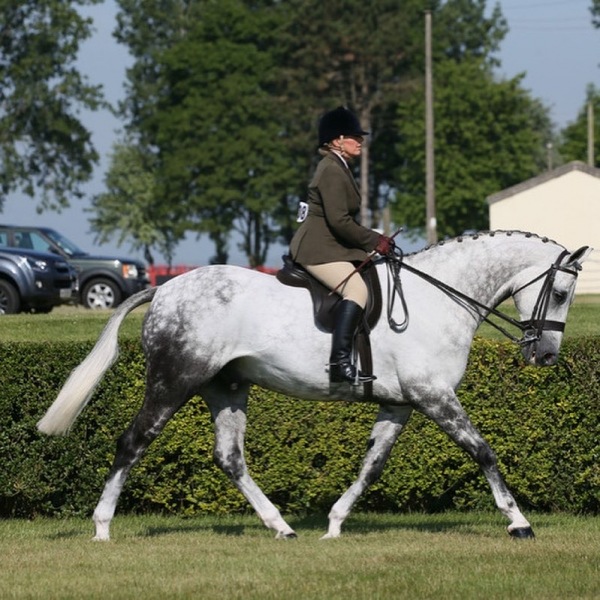 Penny-Clarke-and-Caledonia
