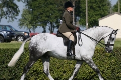 Penny-Clarke-and-Caledonia