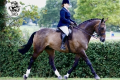 Amy-Williams-and-Remember-Rossmore