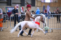 Emma-Armitage-Horse_Pony-Pandoras-Conquistadors-Bvlgari
