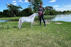 Image-Man-Horse_Pony-PTs-Little-miss-O2