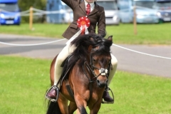 Harlow-White-and-Coppinshill-Commemoration