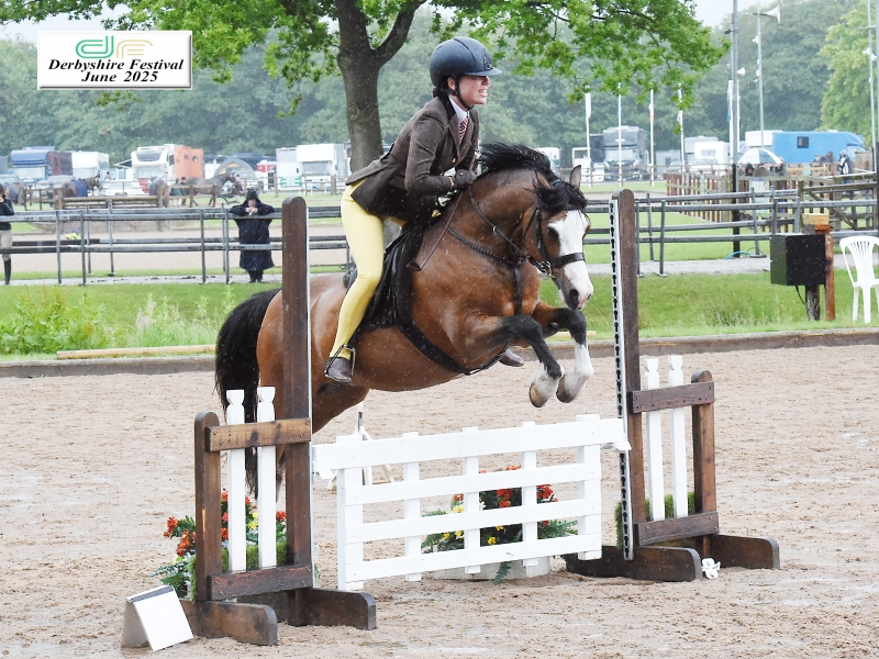 Dana-Simpson-Horse_Pony-Dunaskin-Gimli