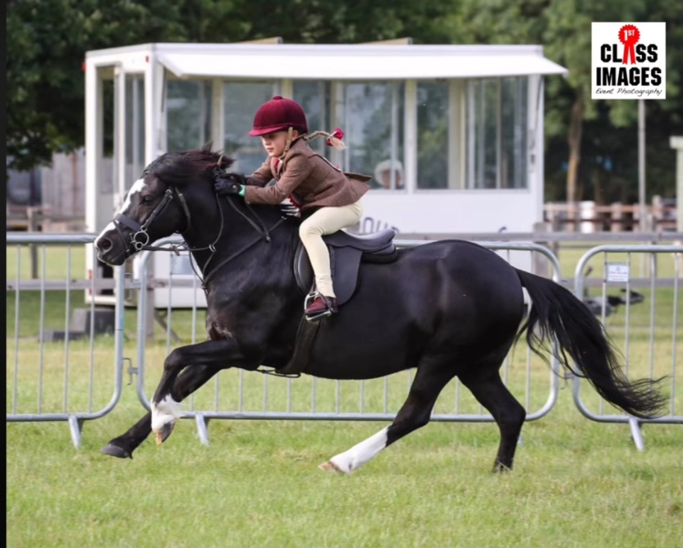 Harriett-Platt-Horse_Pony-Hayesbrook-Double-Trouble
