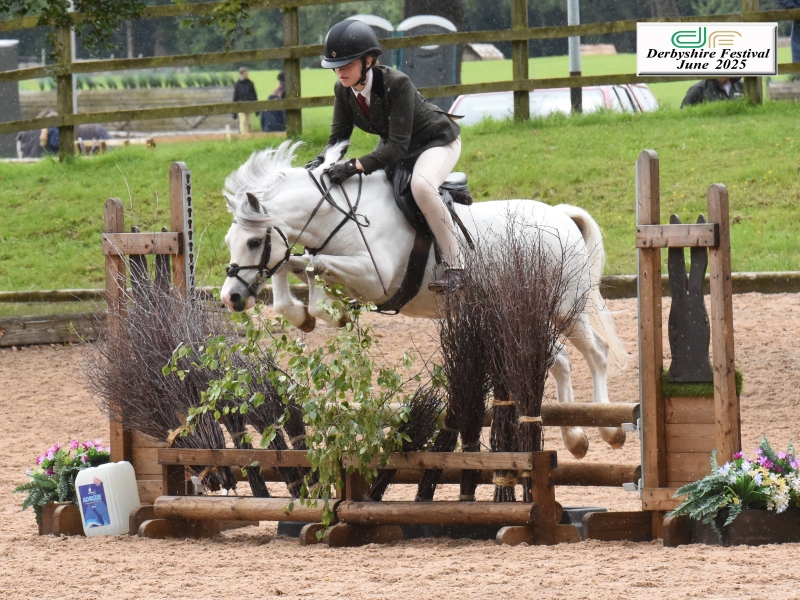 Izzy-Radford-Jones-Horse_Pony-Beros-Silver-Spirit