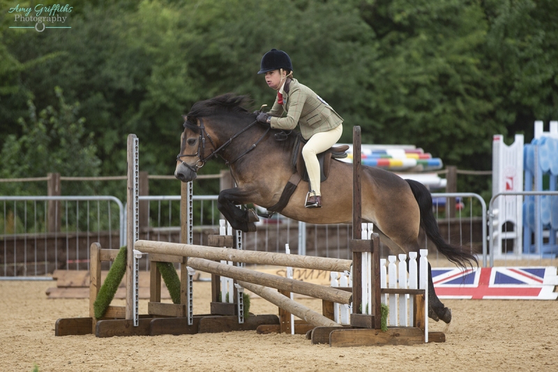 Molly-Barker-Horse_Pony-Moonpenny-Delphinus