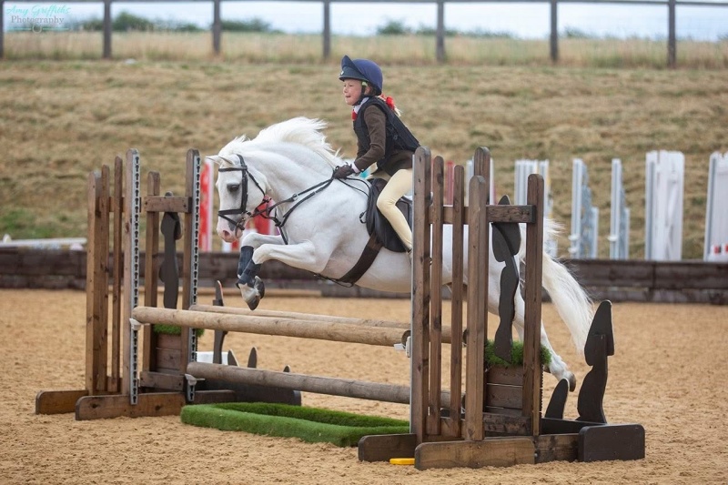 Penny-Richardson-Horse_Pony-Elberry-Suilen