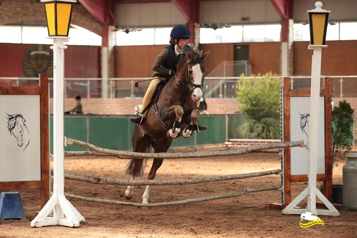Ellie-Murphy-Horse_Pony-Bronheulog-Harvey