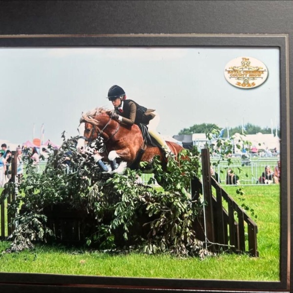 Lilly-Richardson-Horse_Pony-Horeb-Strike-A-Pose