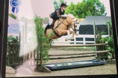Megan-Jones-Horse_Pony-Dycott-Golden-Opportunity