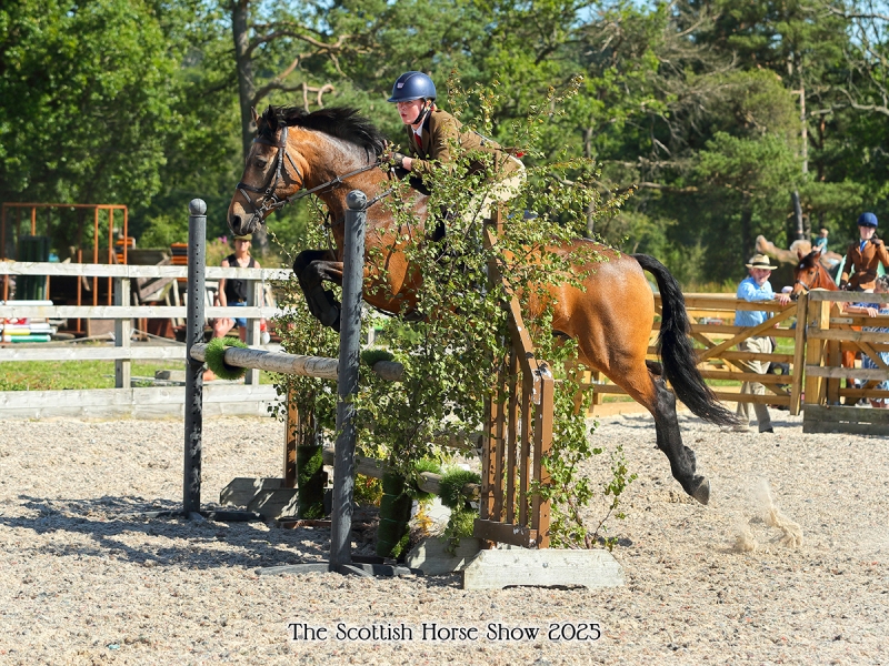 Annabel-Thomson-Horse_Pony-Corclough-Tornado