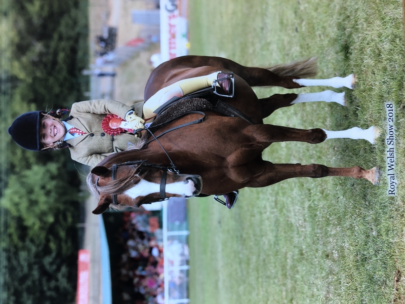 Nell Stephens and Gryngallt Pretty Picture