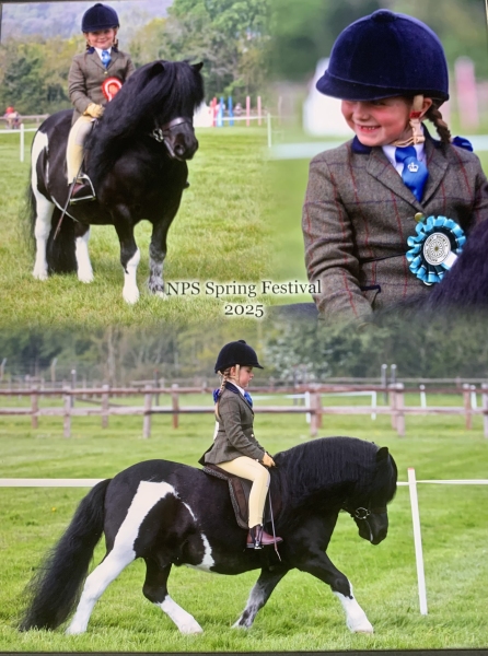 Morgan-Matthews-Horse_Pony-Clibberswick-Special-Delivery