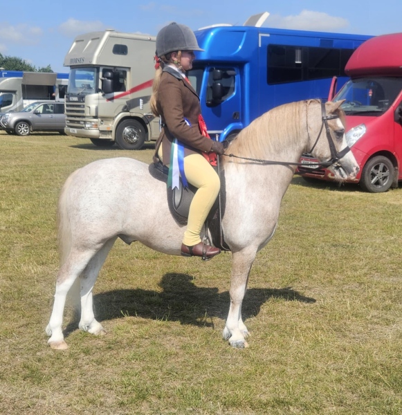 Ava-shaw-Horse_Pony-Settvalley-the-watchman-