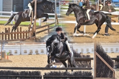 Harriett-Platt-and-Hayesbrook-Double-Trouble