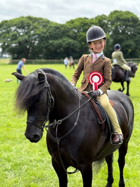 Alexia-Lilley-Horse_Pony-Cayberry-Pieces-of-Eight