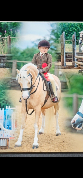 Harriett-Platt-Horse_Pony-Sangrug-Lily-May