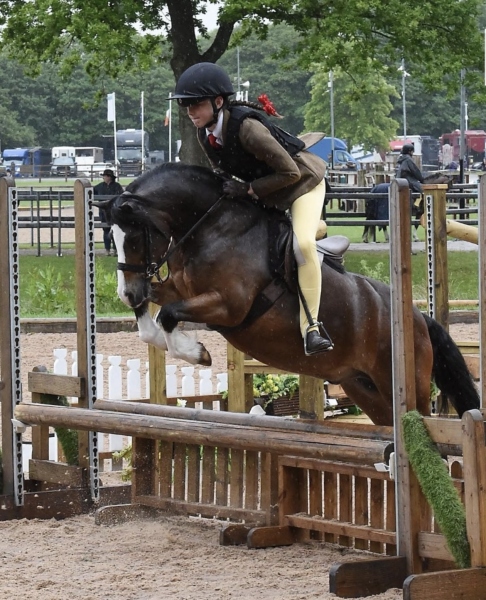 Jessie-Barleycorn-Horse_Pony-Haverford-Fauntleroy