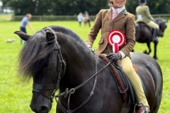 Alexia-Lilley-Horse_Pony-Cayberry-Pieces-of-Eight