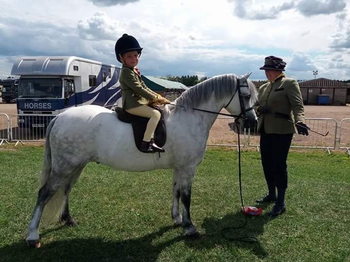 Aston Potter-firth Horse:Pony Heniarth yes sir