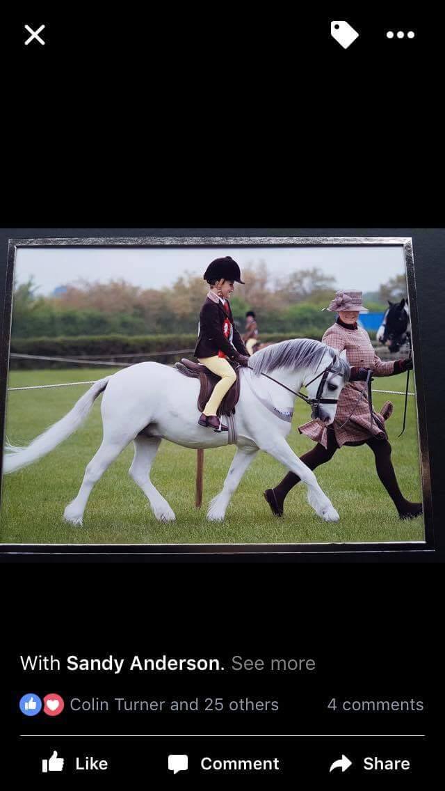Lewis Reynolds and Thistledown Special