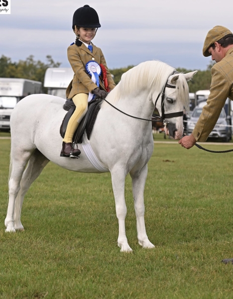 Darcey-Watson-Horse_Pony-Thistledown-Windago