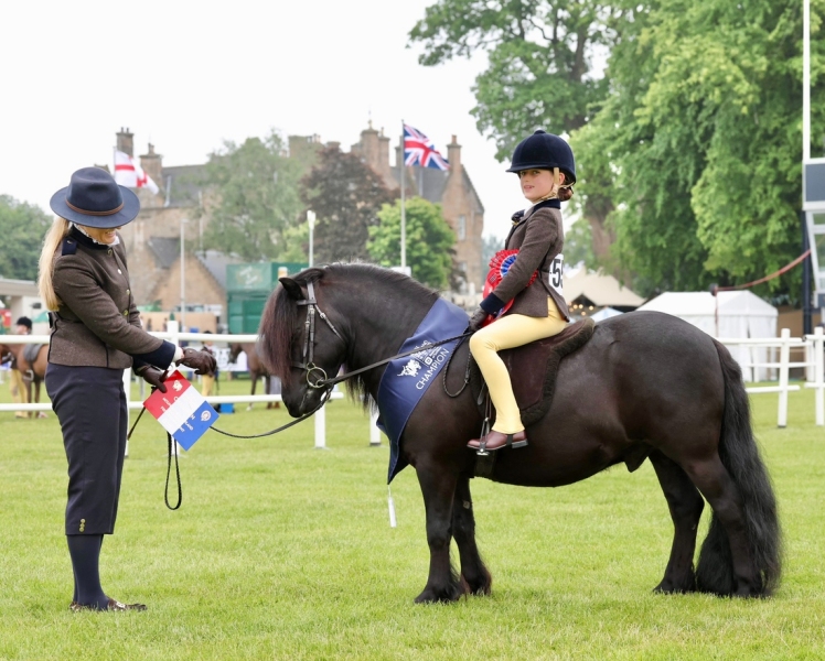 Reeva-Gardner-Horse_Pony-Latijn-V.D-Helling