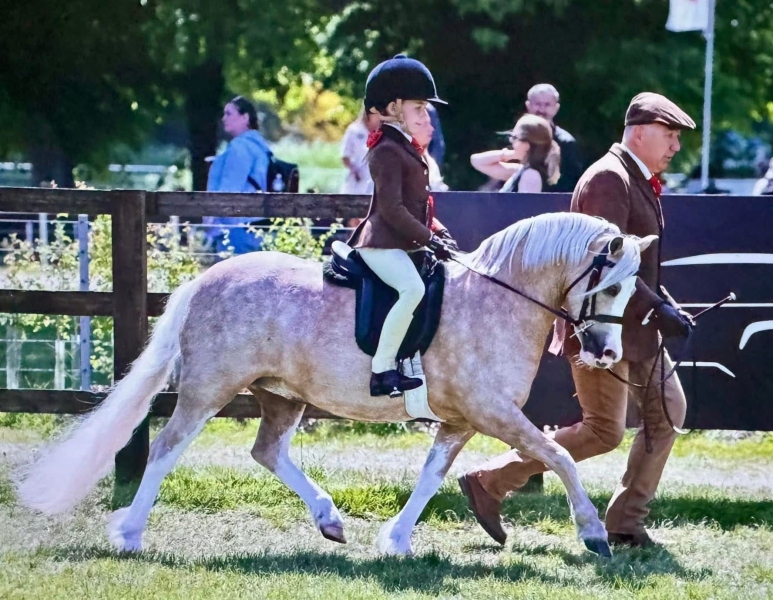 Zara-Constable-Horse_Pony-Glyncoch-Honey-Pot-