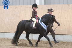 2_Penelope-Rae-Dale-Horse_Pony-Hisley-Caliph