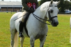Kirsty-Aird-and-Cregduff-Ranger