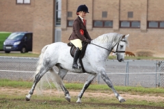 Maia-Avery-Horse_Pony-BenaghRocks-Woody-