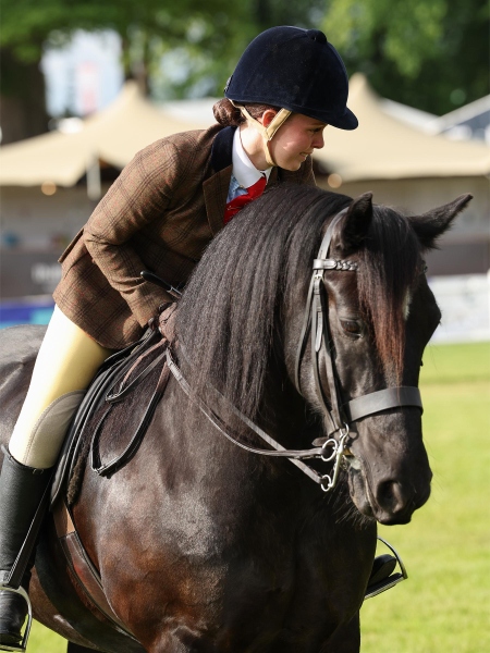 Eilidh-McIvor-Horse_Pony-Highcroft-Rebel