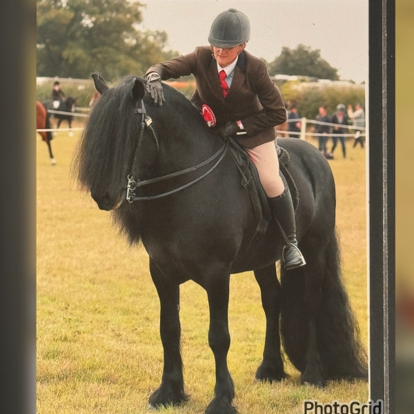 Jodie-smith-Horse_Pony-Westwick-Baron