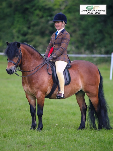 Jessica-Talbot-Horse_Pony-Collstone-Cascadian