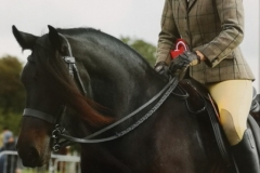 Molly Simpson and Greenholme Georgy Girl