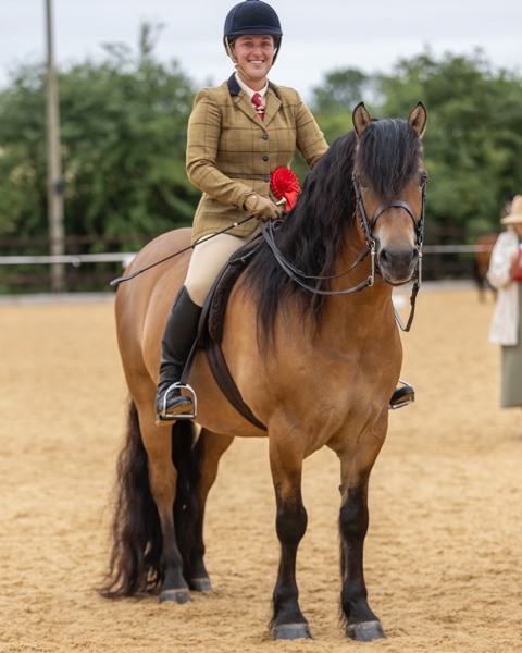 Alice-Sheen-Horse_Pony-Carlung-Xephyr