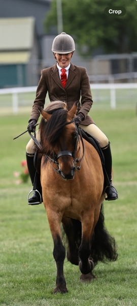 April-Gilmartin-Horse_Pony-Kingdom-of-Ryedale