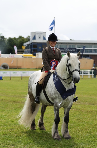 Katie-Common-Horse_Pony-Dunedin-Mascot-