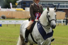 Katie-Common-Horse_Pony-Dunedin-Mascot-