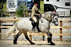 Sarah-Jane-Forbes-Horse_Pony-McGregor-of-Millfield