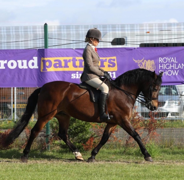 Vicki-smith-Horse_Pony-Okedene-Justin