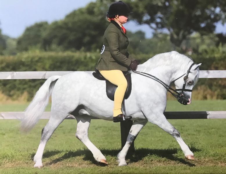 Anna-M.L.-Richards-and-Springbourne-Cartier
