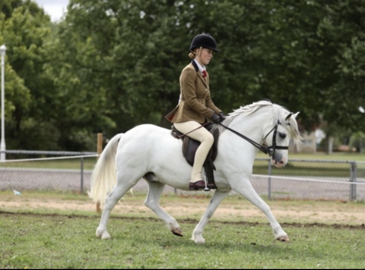 Issy-Hanson-Horse_Pony-Glebedale-Rock-and-Roll