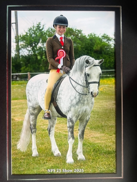 Lilly-Richardson-Horse_Pony-Marsh-Walk-On-By