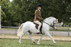 Issy-Hanson-Horse_Pony-Glebedale-Rock-and-Roll