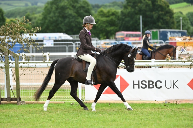 Katie-Goodwin-and-Moelview-Prince-Harry