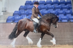 Lisa-Wigglesworth-and-Hillgarth-Lucky-Legend
