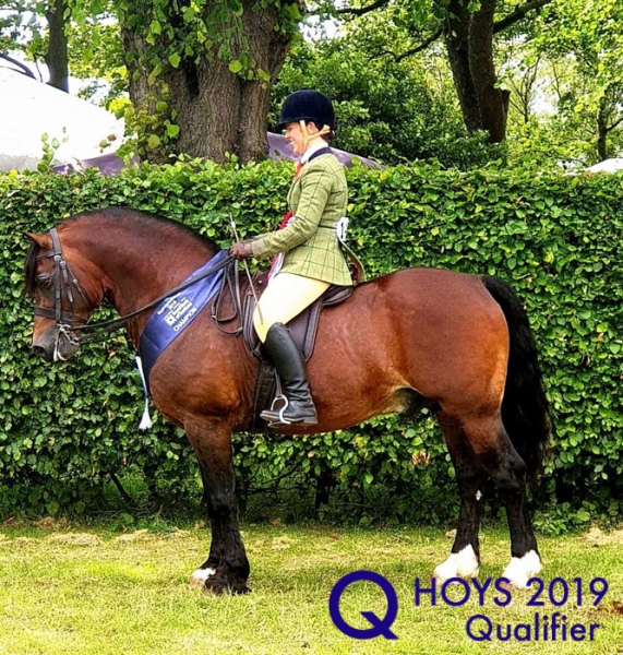 Claire-Evans-and-Northwick-Notorious